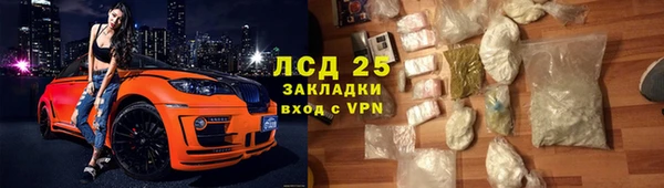 СК Волоколамск