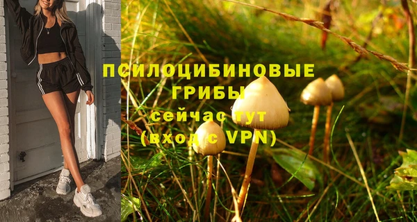 гашик Верхнеуральск