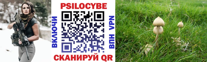 сколько стоит  Володарск  Галлюциногенные грибы прущие грибы 